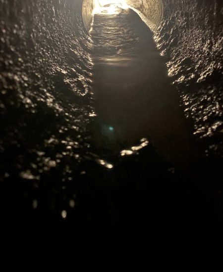 3a47431c-4dfa-468d-8da6-c873318f35b1